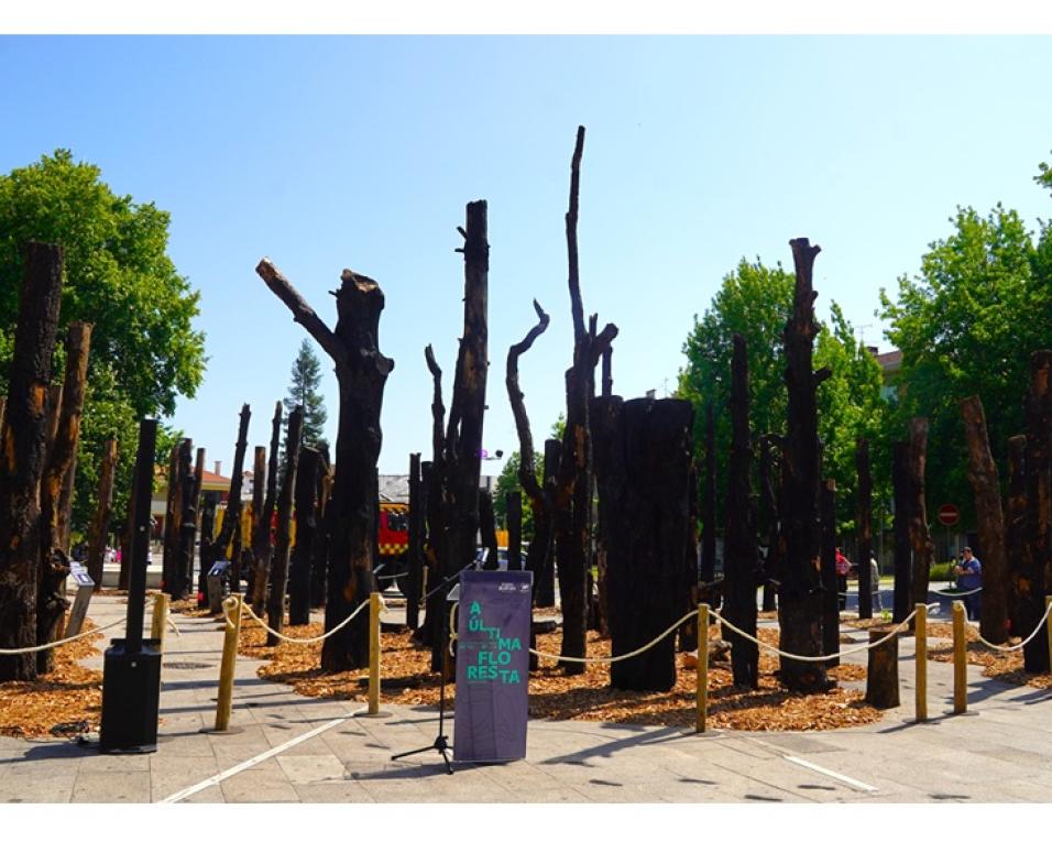 Águeda inaugura a mostra “A Última Floresta” na confrontação do público com impacto dos incêndios florestais