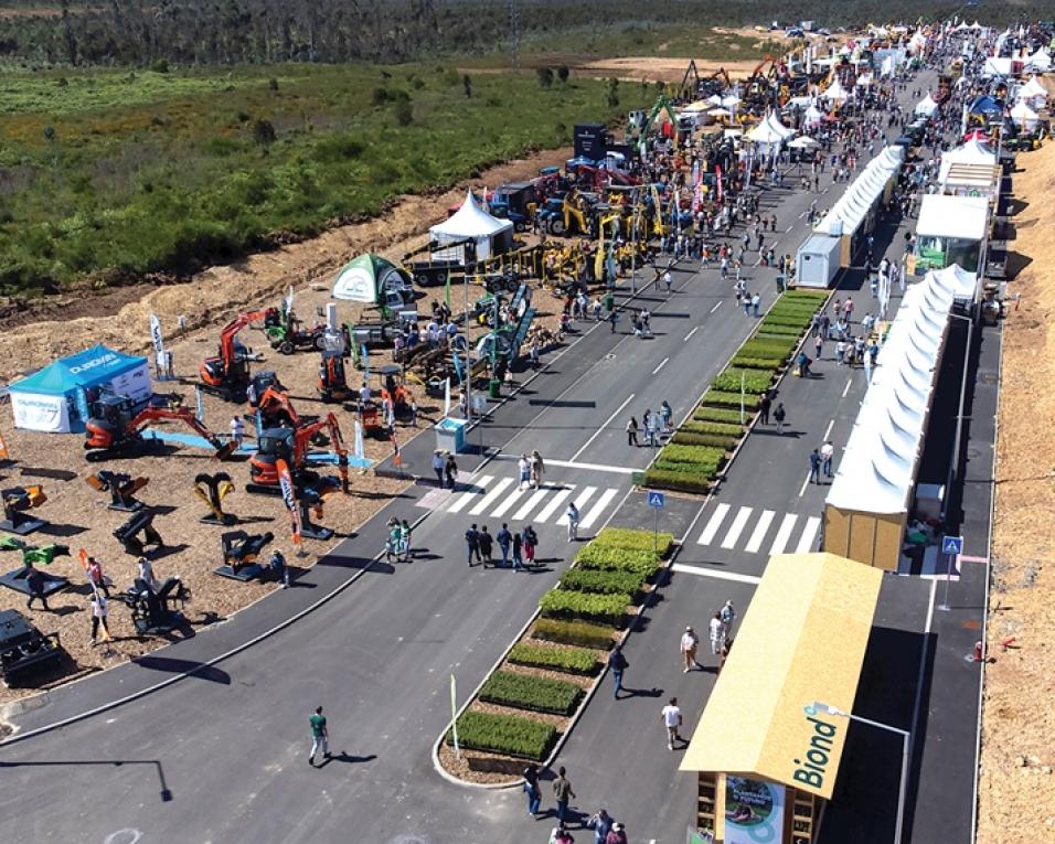 ExpoFlorestal abre portas esta sexta na zona industrial de Albergaria.