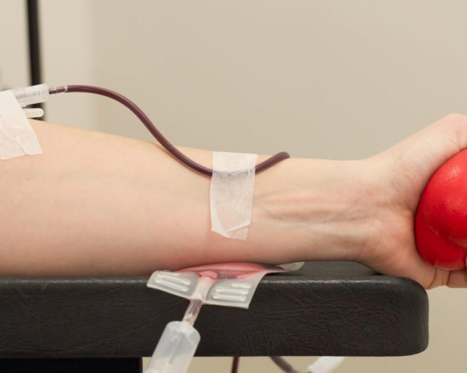ADASCA realiza hoje colheita de sangue em Aveiro. ADASCA realiza hoje colheita de sangue em Aveiro.