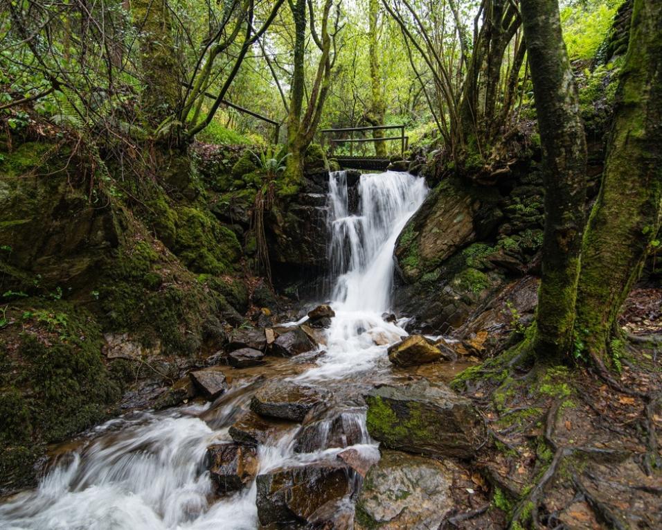 UA mostra trabalhos fotográficos sobre biodiversidade e natureza.