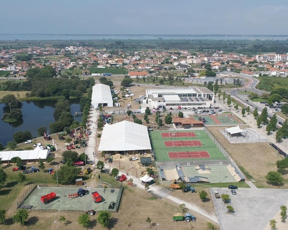 feira agricola da murtosa