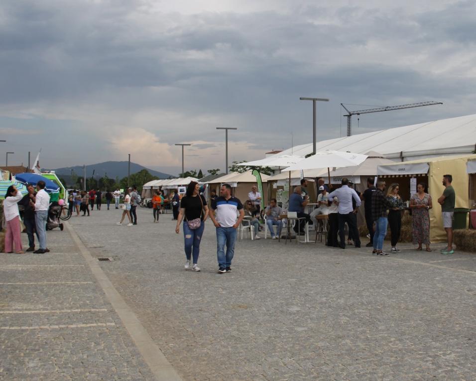 Anadia: Autarquia faz balanço à Feira do Ambiente, Saúde e Bem-Estar.