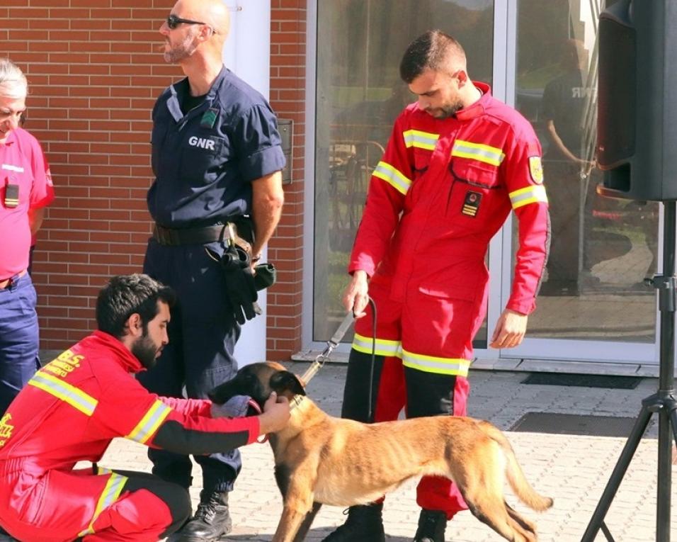 Mercado de Ílhavo recebeu Feira Animal.