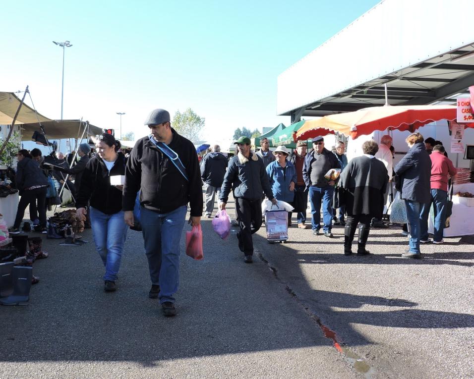 Oliveira do Bairro: Feira da Palhaça em pleno na sexta-feira.