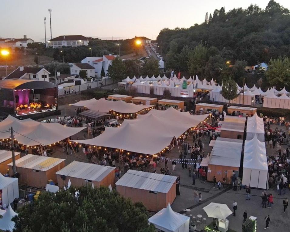 Feira da Vinha e do Vinho abre candidatura para expositores. Feira da Vinha e do Vinho abre candidatura para expositores.
