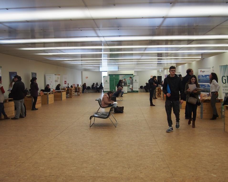 Ílhavo: Feira de Emprego mostra saídas profissionais e formativas.