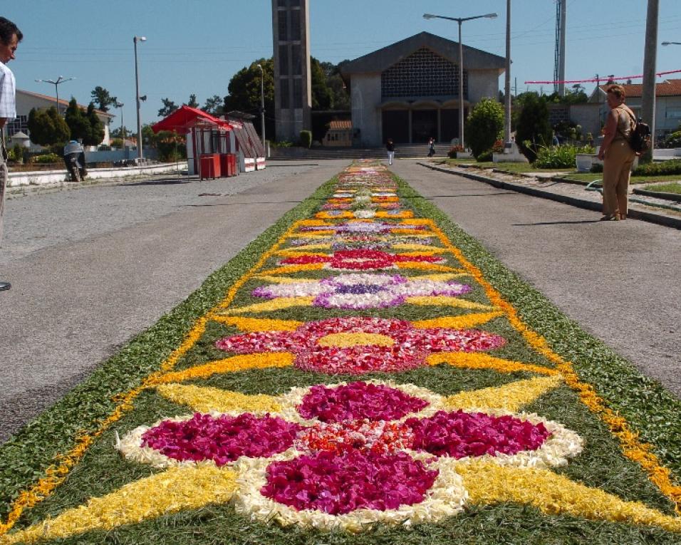 Aveiro: Festa em honra de São Bernardo agendada para este fim de semana. Aveiro: Festa em honra de São Bernardo agendada para este fim de semana.