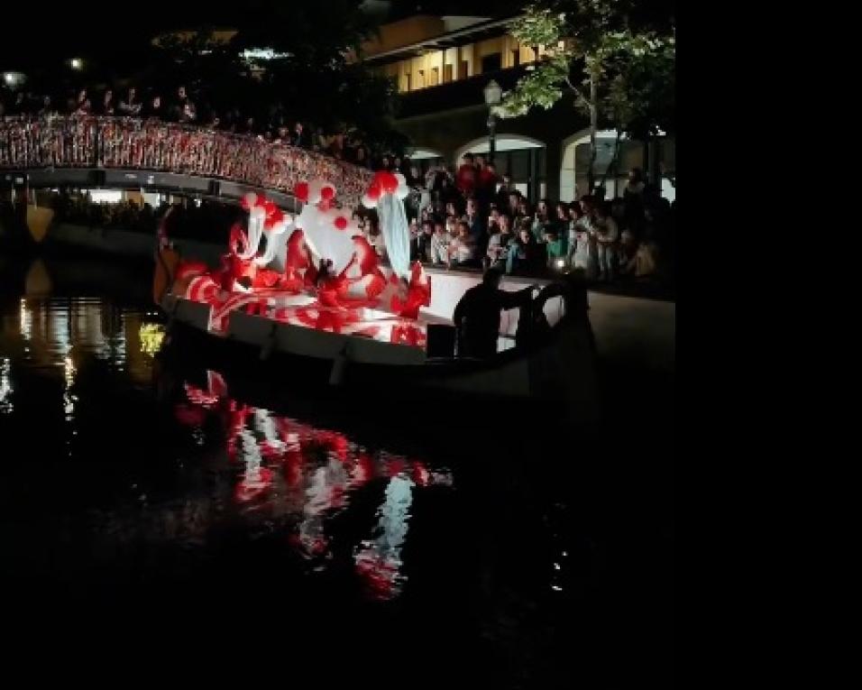 camara de aveiro faz balanço positivo ao festival dos canais