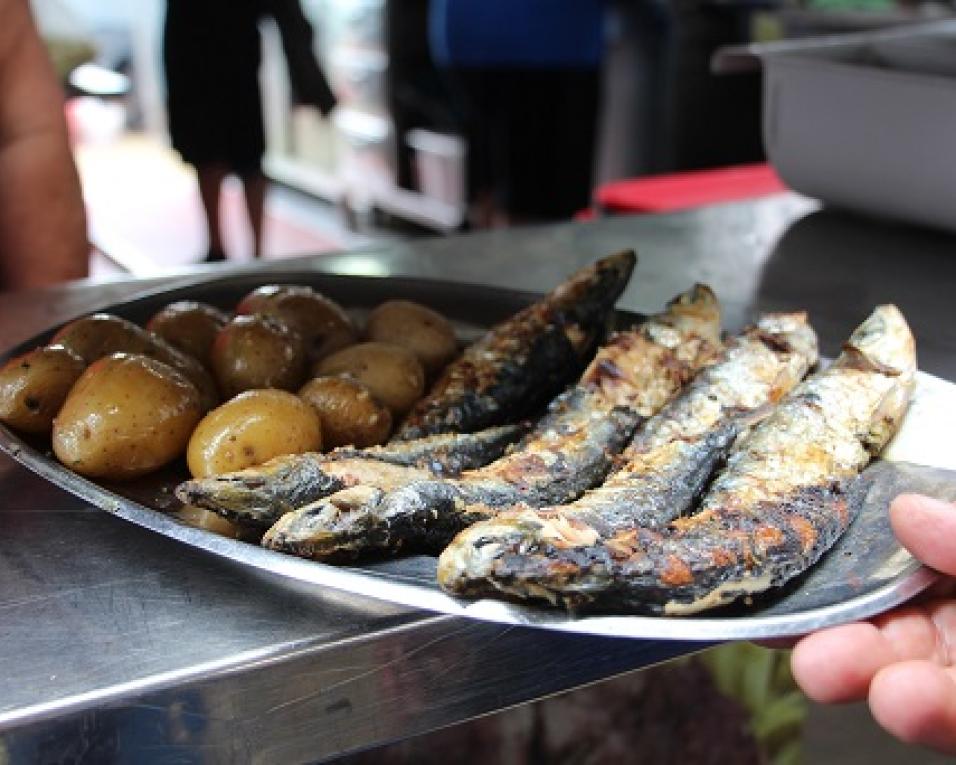 Costa Nova: Festival da Sardinha abre portas para mostrar símbolo da gastronomia portuguesa. 