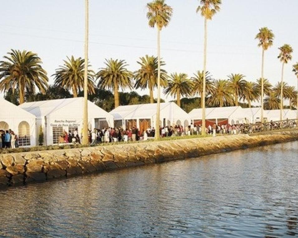 Ílhavo: Autarquia aprova normas de participaçao no Festival do Bacalhau.