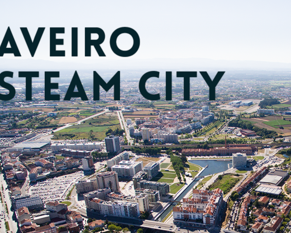 Formações-piloto no âmbito do programa Aveiro Steam City arrancam em breve.