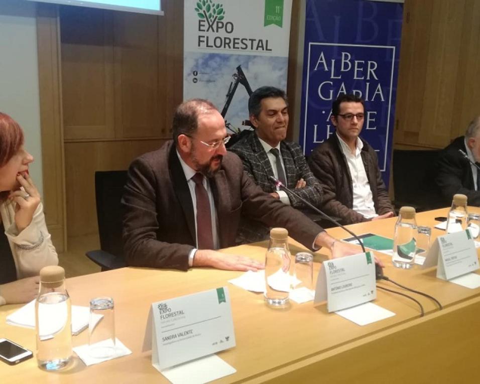 Aprovamos as primeiras unidades de gestão florestal. É o início da gestão empresarial - Secretário de Estado das Florestas.