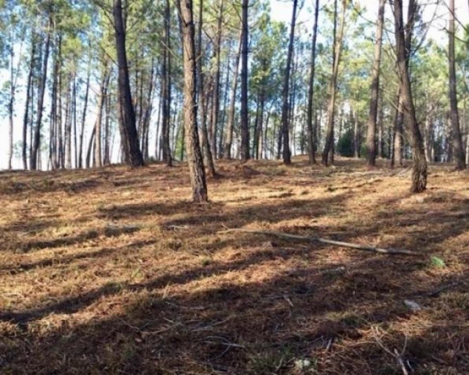 Aviso da proteção civil para a subida das temperaturas.