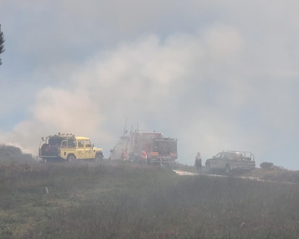 Investigadores da UA vão estudar resiliência da floresta aos incêndios.