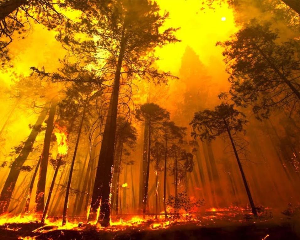 Lar de idosos em Santa Maria da Feira evacuado devido a incêndio.