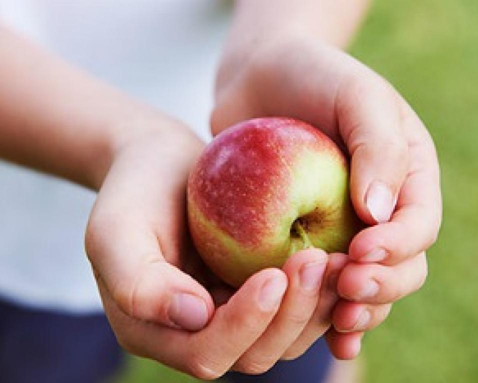 Escolas de Aveiro recebem os Heróis da alimentação saudável.