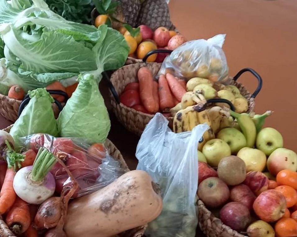 Albergaria: Aproveitamento de bens garantiu 50 cabazes de frutas e legumes.