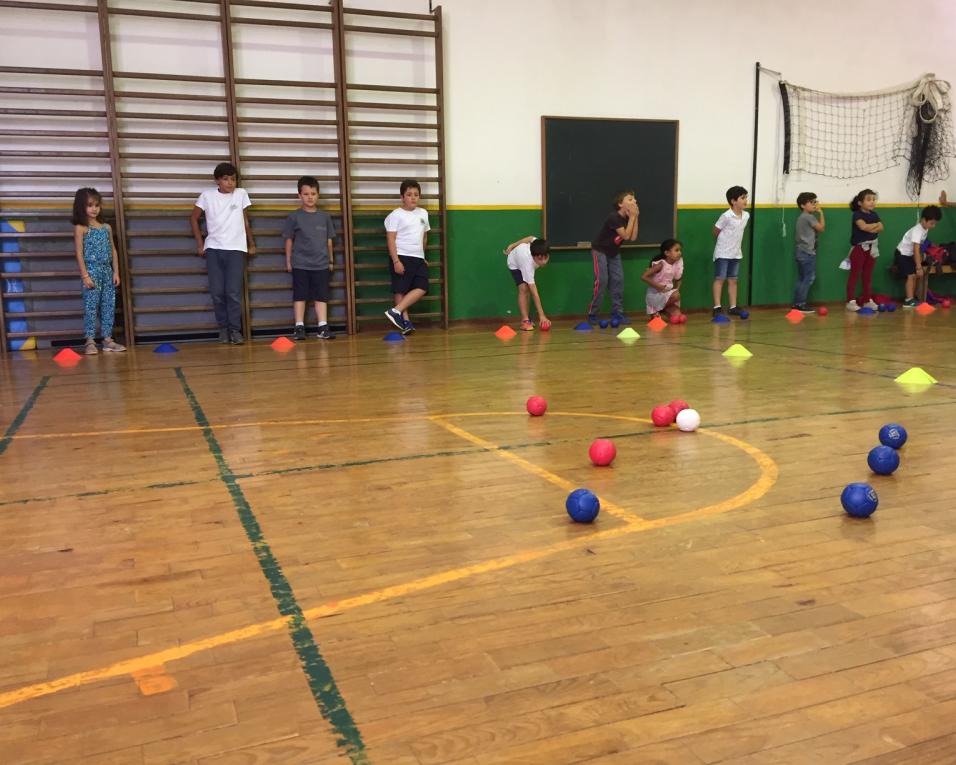 Boccia divulgada no Instituto Duarte Lemos .