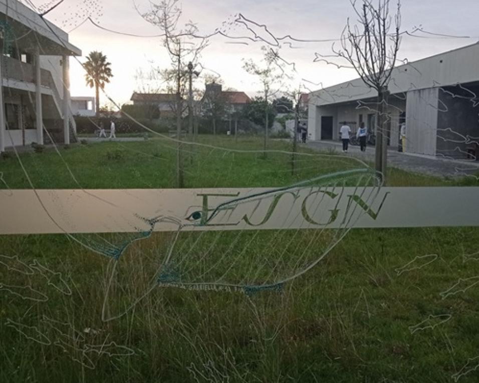 Fátima Magueta é a nova diretora do Agrupamento de Escolas da Gafanha da Nazaré.