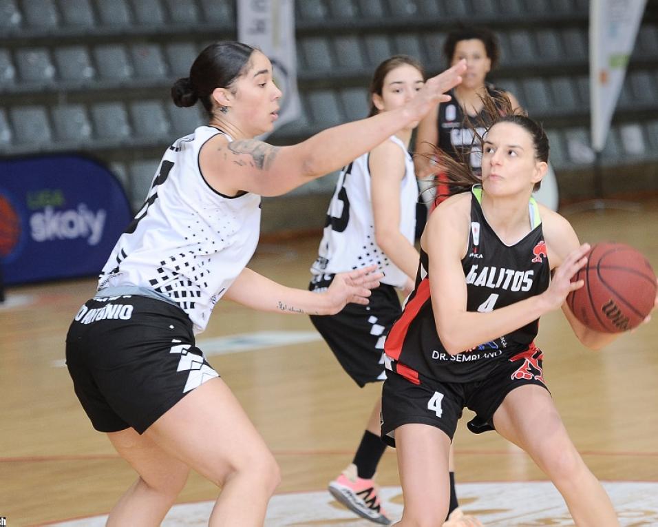 Basquetebol: Galitos estreia-se a vencer na Liga feminina.