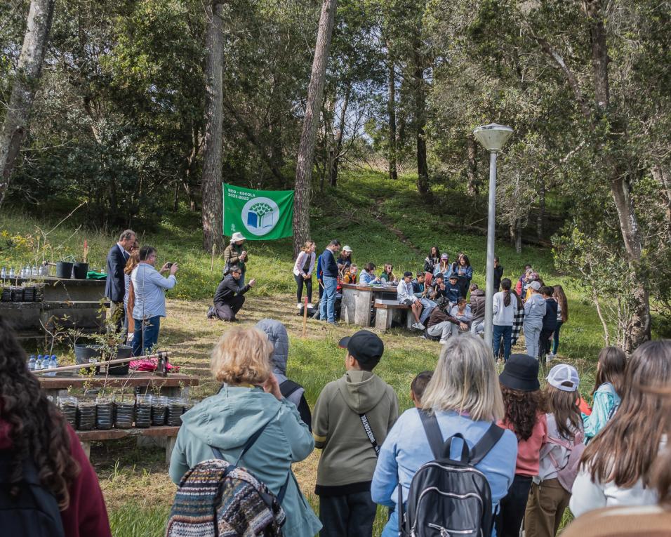 Câmara de Aveiro plantou 600 árvores na Reserva Natural das Dunas de São Jacinto.