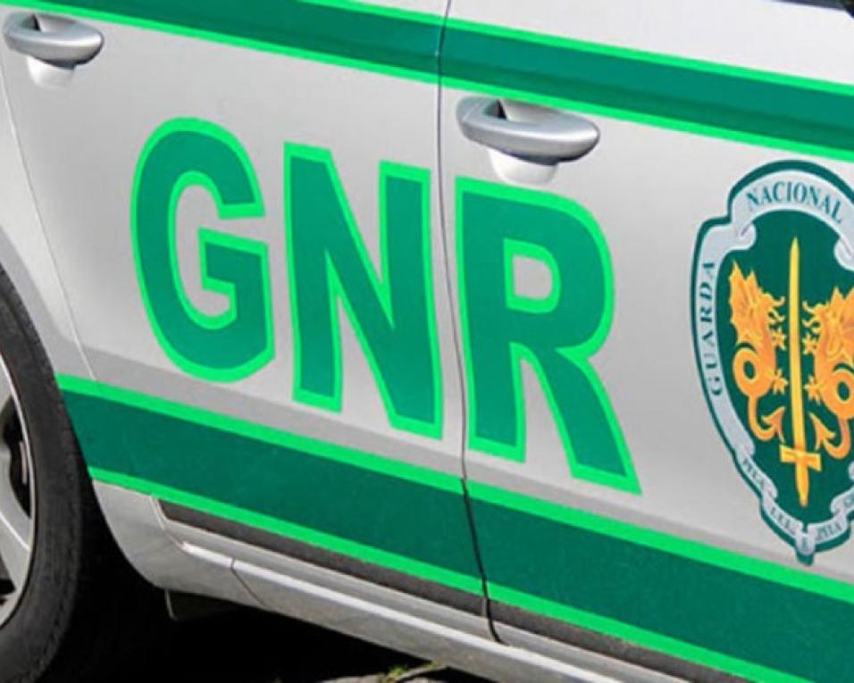 Vagos: GNR recuperou veículos furtados.