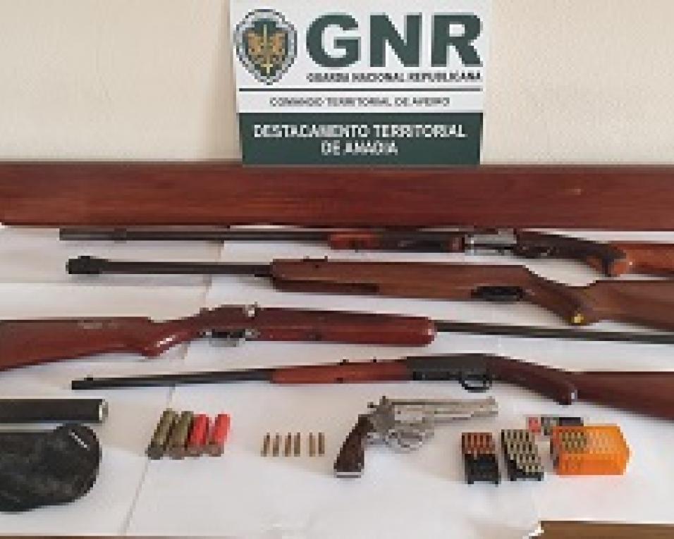 Oliveira do Bairro: GNR detém suspeito de maus tratos a animais e apreende armas em busca domiciliária.