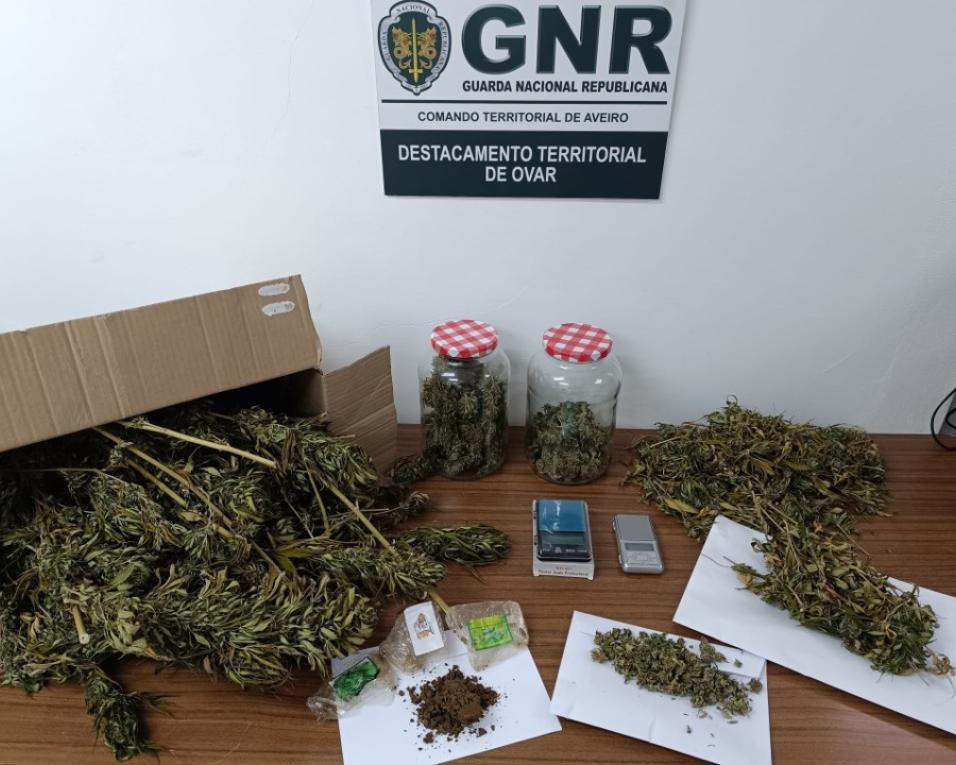 Estarreja: GNR deteve suspeitos de tráfico de estupefacientes.