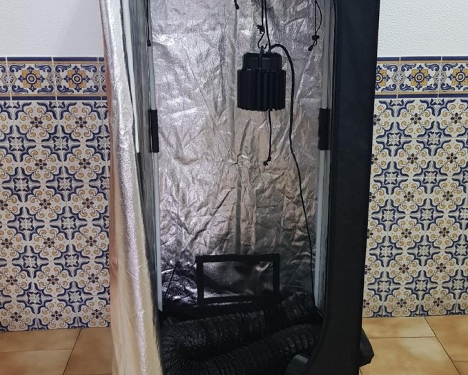 GNR de Ovar: Jovem faz bolo de cannabis e intoxica a família toda.