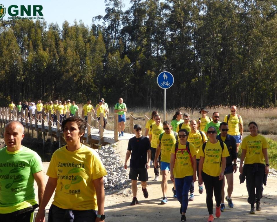 Aveiro: GNR realiza caminhada pela floresta.