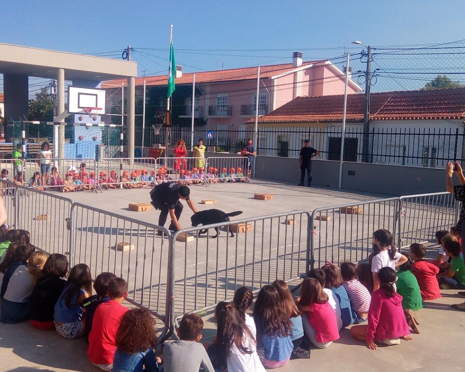 Ílhavo: GNR participou em demonstrações cinotécnicas na Coutada.