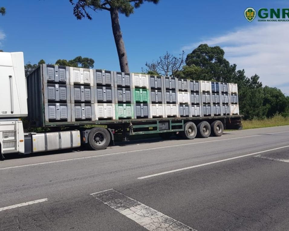 Ílhavo: GNR apreende veículo semi-reboque com matrícula falsa.