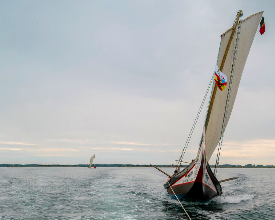 Marco Silva venceu a Regata da Ria.