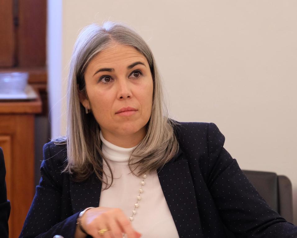 Helga Correia quer respostas sobre investimentos na ferrovia no distrito de Aveiro.