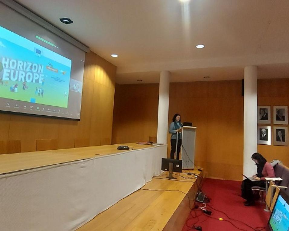 UA lidera consórcio que estuda capacidade de mitigação das mudanças climáticas das zonas húmidas.