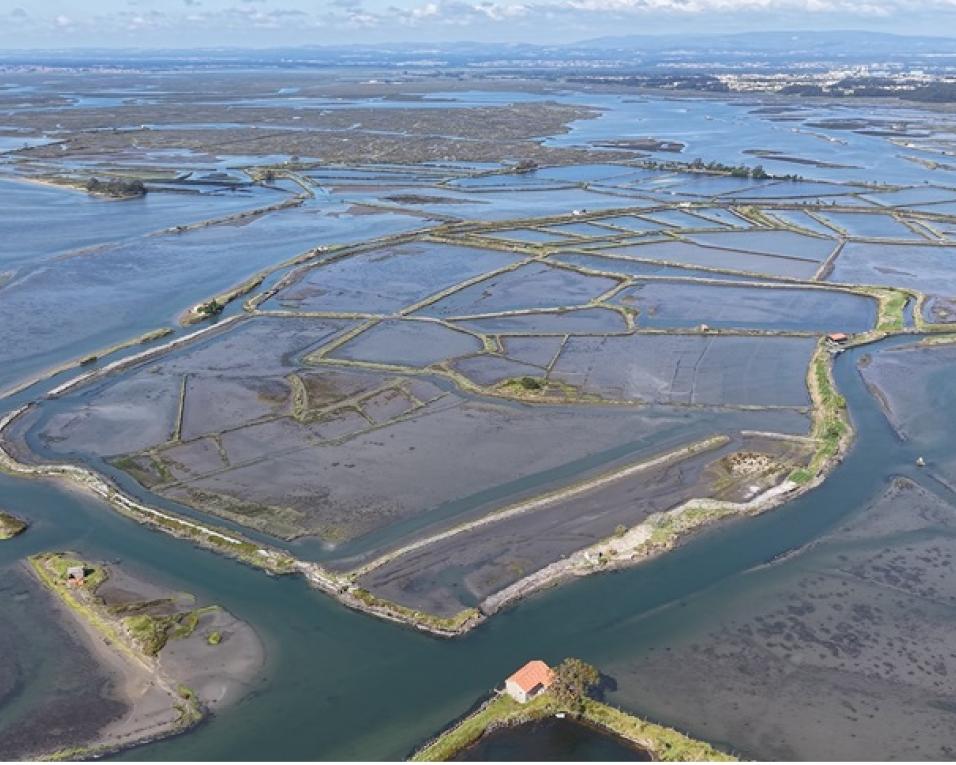 Ilha na ria à venda em leilao online