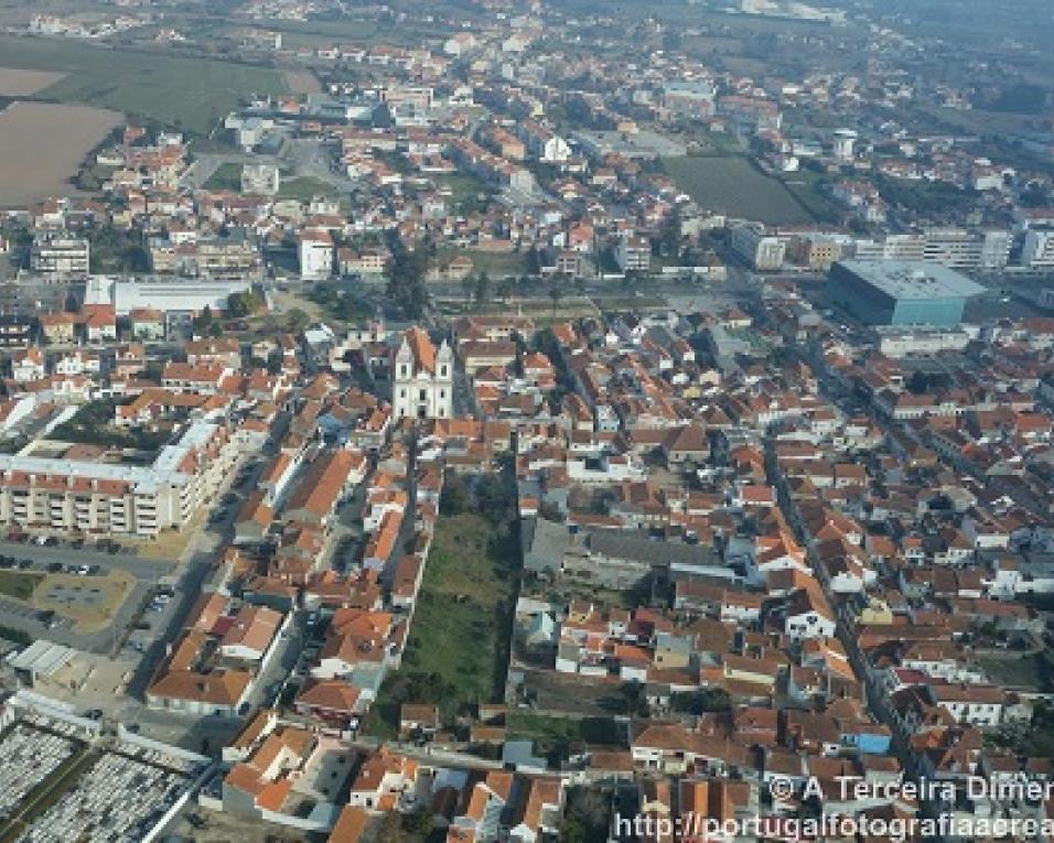 Ílhavo: Biblioteca entrega livros ao domicílio.