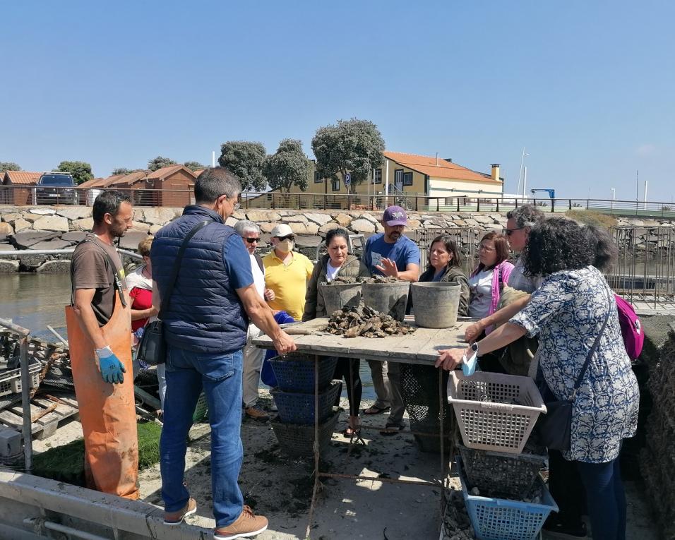 Grupo local de ação das pescas da Galiza esteve na região de Aveiro.