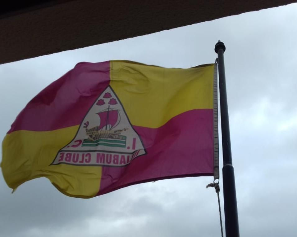 Sócios do Illiabum analisam contas de 2020.