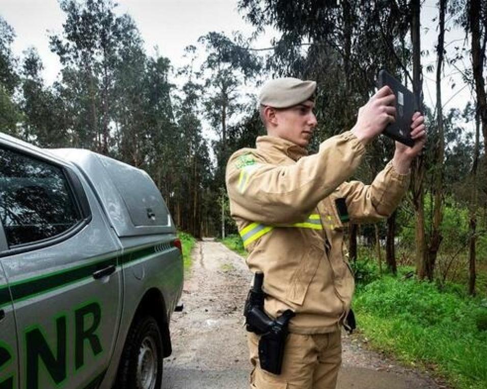 Calor: Proteção Civil alerta para perigo de incêndio rural a partir de sábado.