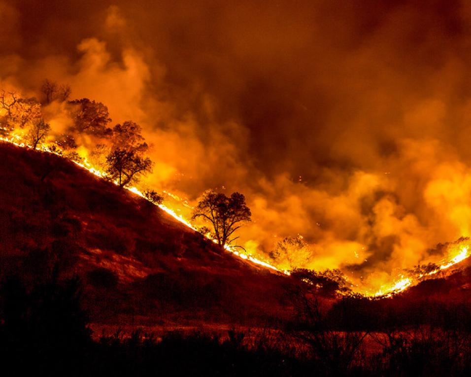 Risco de incêndio no máximo com Aveiro em alerta vermelho. 