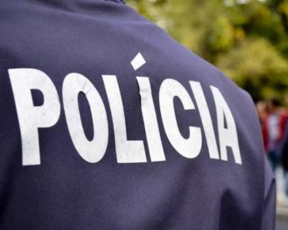 PSP: Identificadas oito pessoas por suspeita de danos em 'papeleira' e caixotes de lixo.