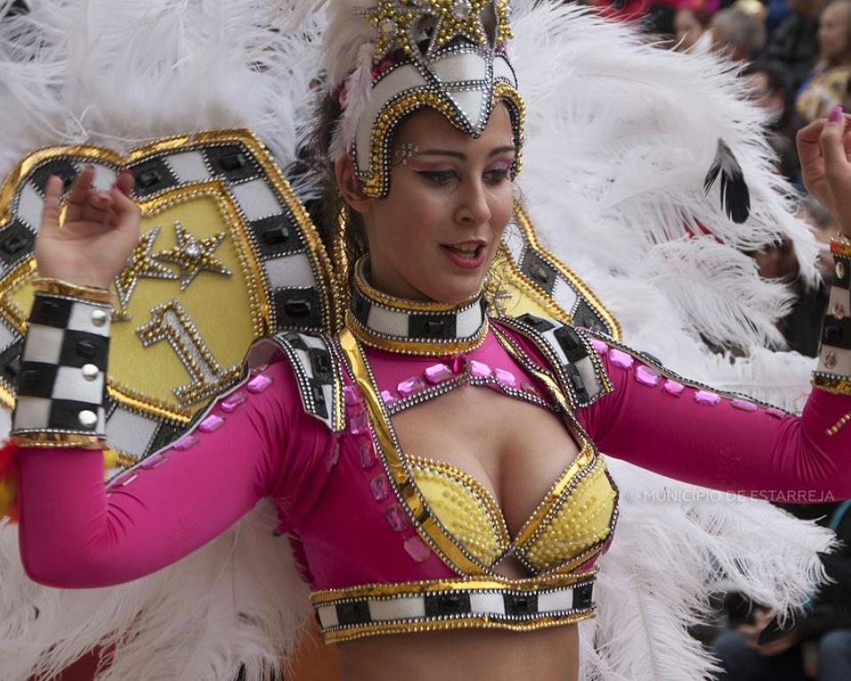 Carnaval de Estarreja 2020: Prossegue o processo de atribuição de bares de apoio no Espaço Folia.