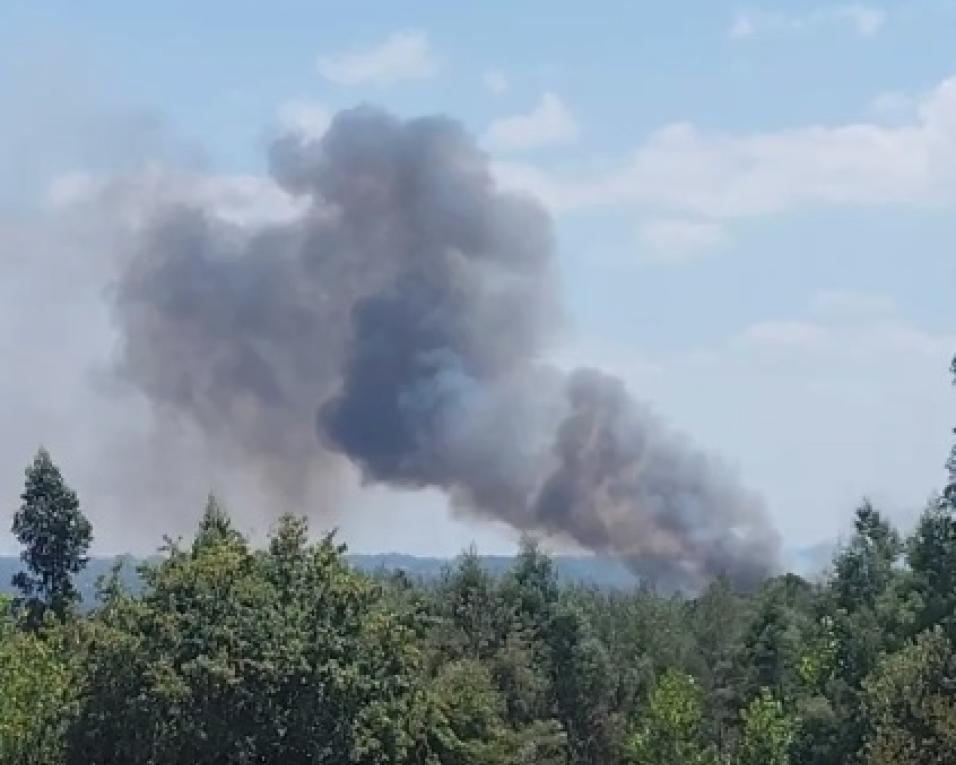 bombeiros controlam incendio em mamodeiro