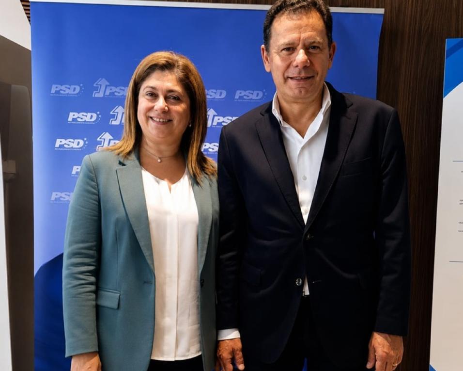 isabel simoes pinto mandataria distrital da recandidatura de luis montenegro ao PSD