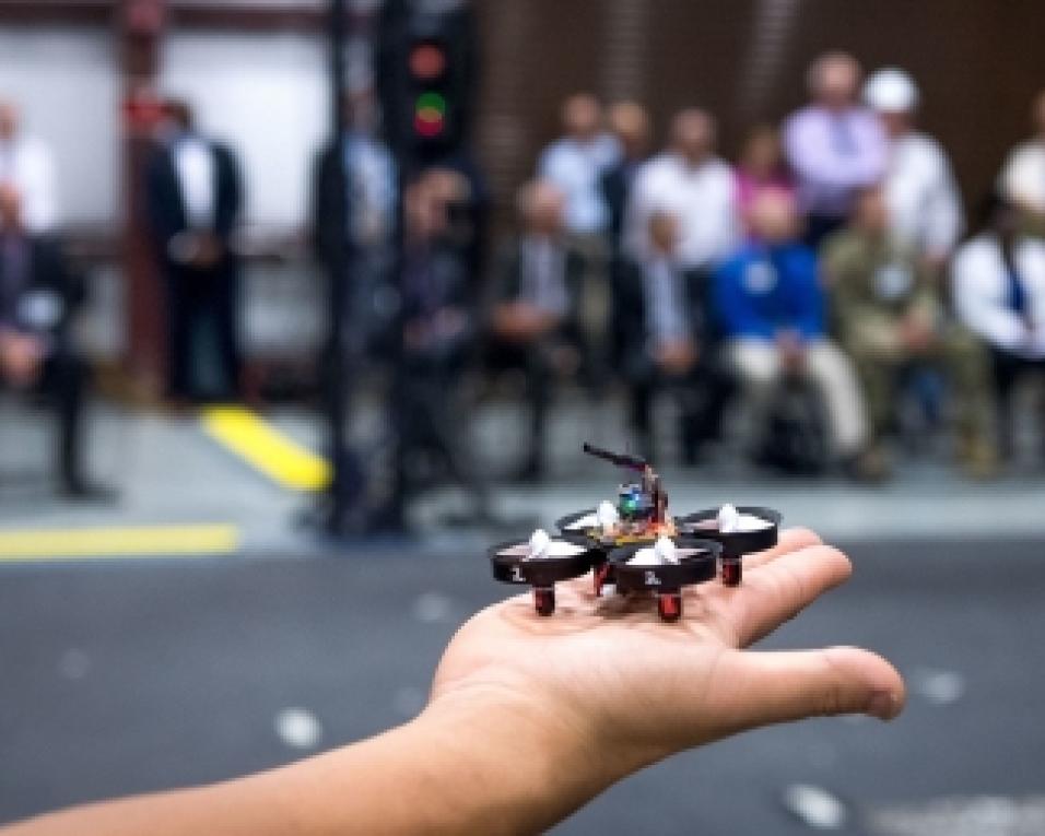 Estaleiro – Estação Científica de Ílhavo 