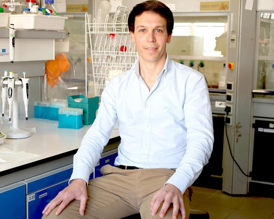 Investigador do CICECO distinguido pelas sociedades europeias de Química.