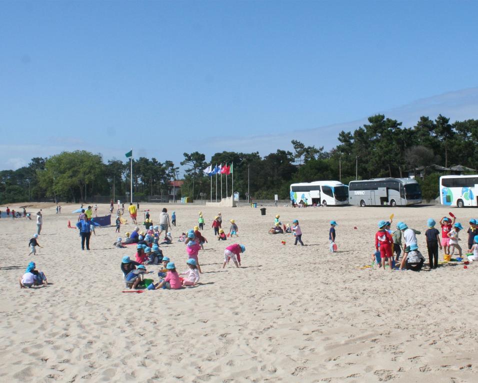 Praias do Bico e Monte Branco com Bandeiras Azuis hasteadas na quinta-feira.