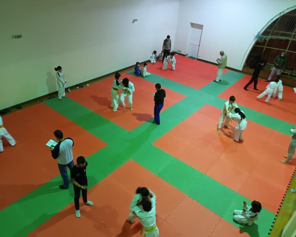 Judo retoma provas.