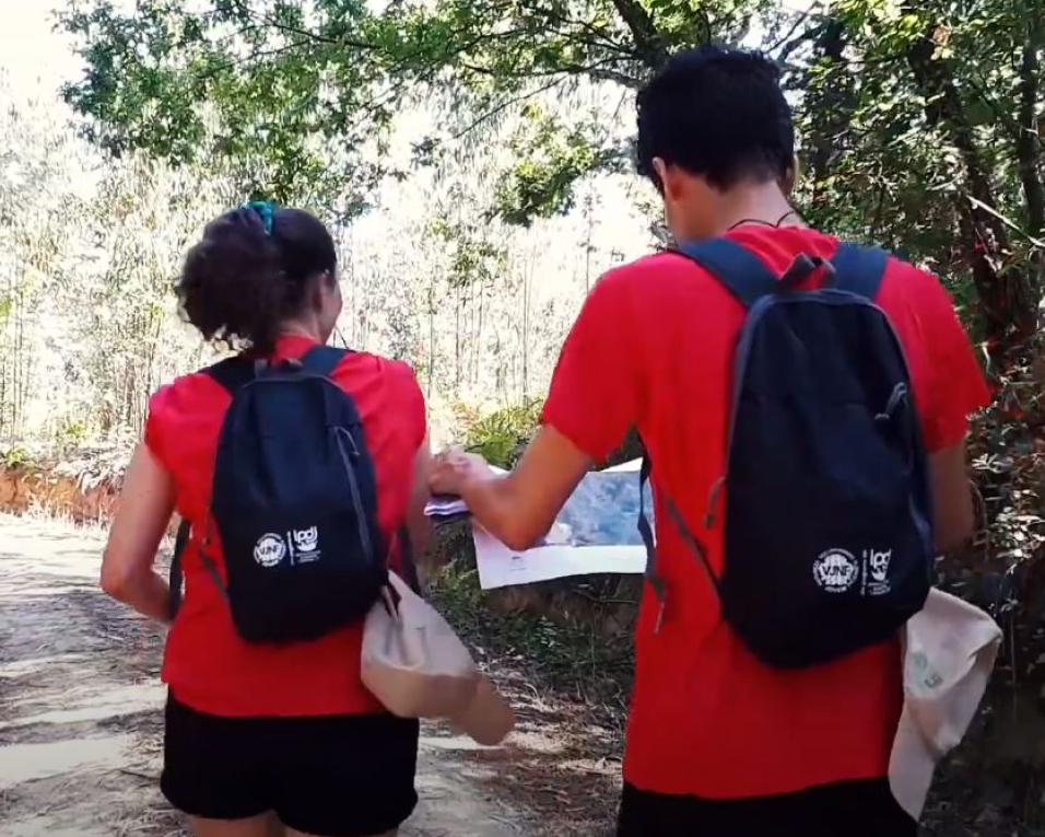 Programa “Voluntariado Jovem para a Natureza e Florestas” desenvolvido em Oliveira do Bairro.